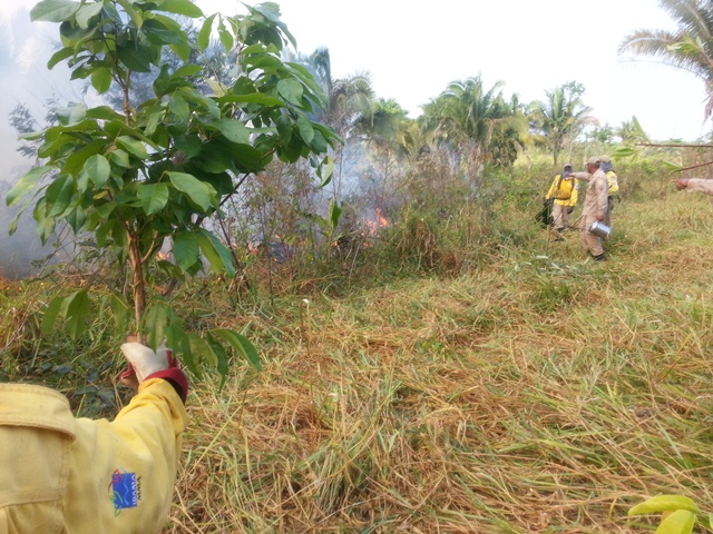 CBM - CPCIF em Marab3