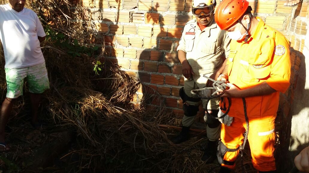 5ª CIBM realiza resgate em Chapadinha (2)