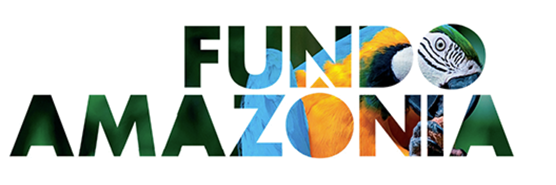 FUNDO AMAZONIA SITE