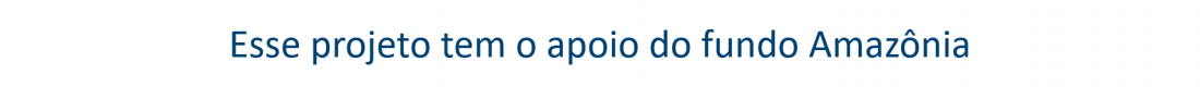 FUNDO AMAZONIA BANNER 3